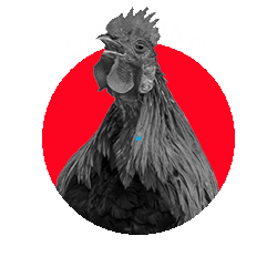 catering_GIF.gif