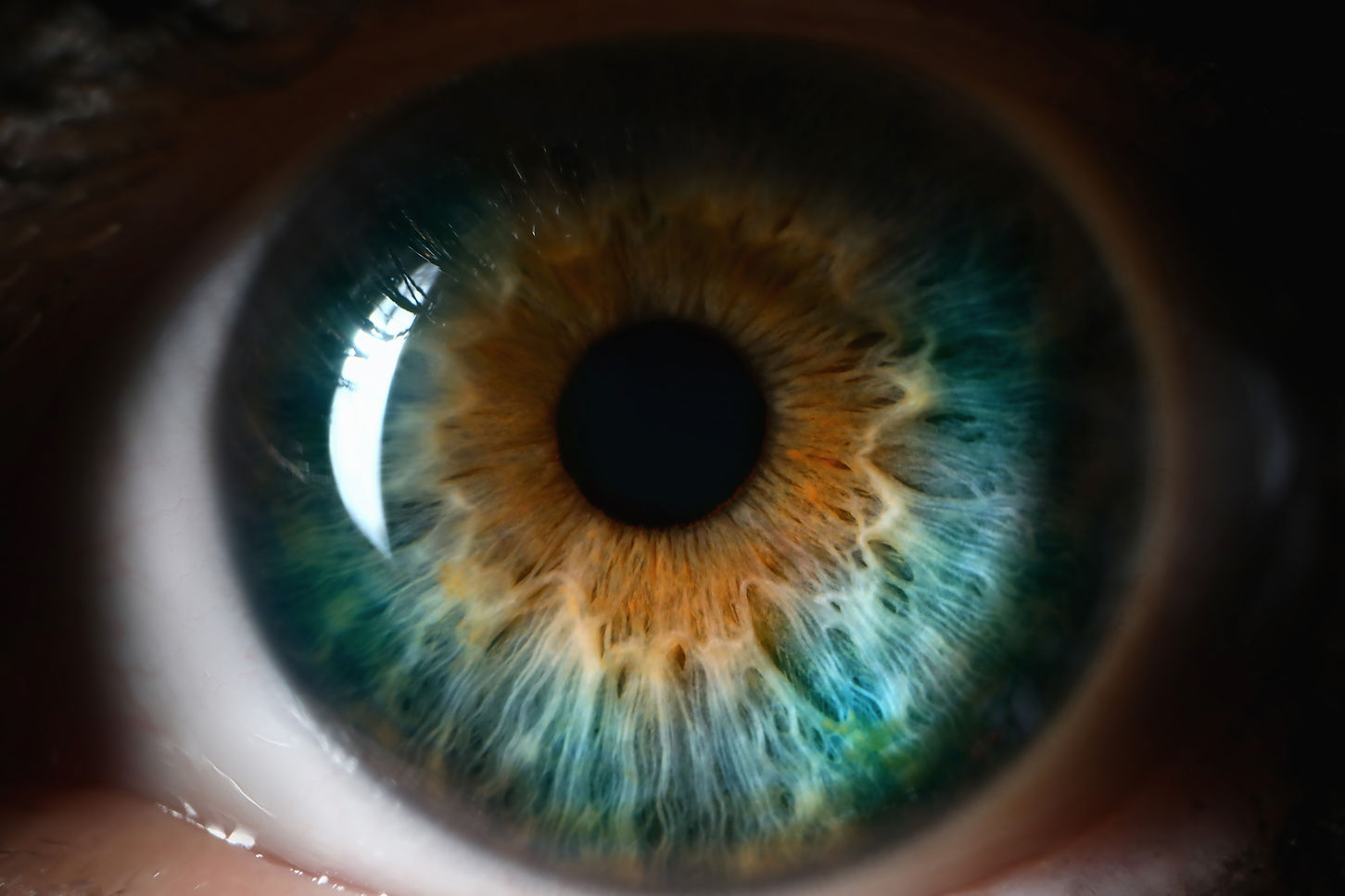 Una Visio About Image