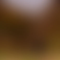 Same-sex couple elopement Edinburgh