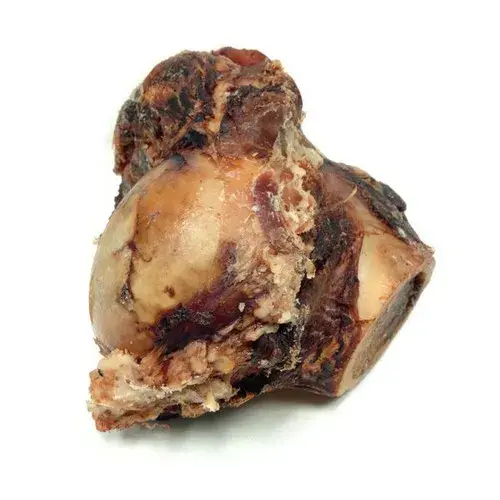 Tartar Bone