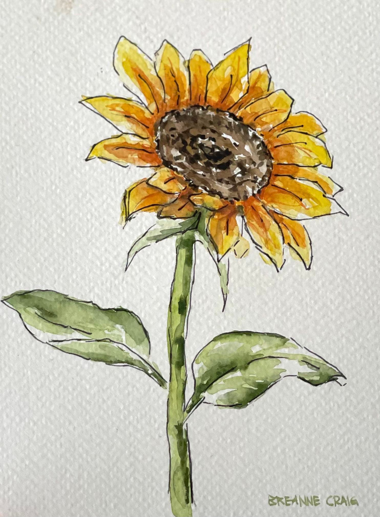 Sunflower watercolor