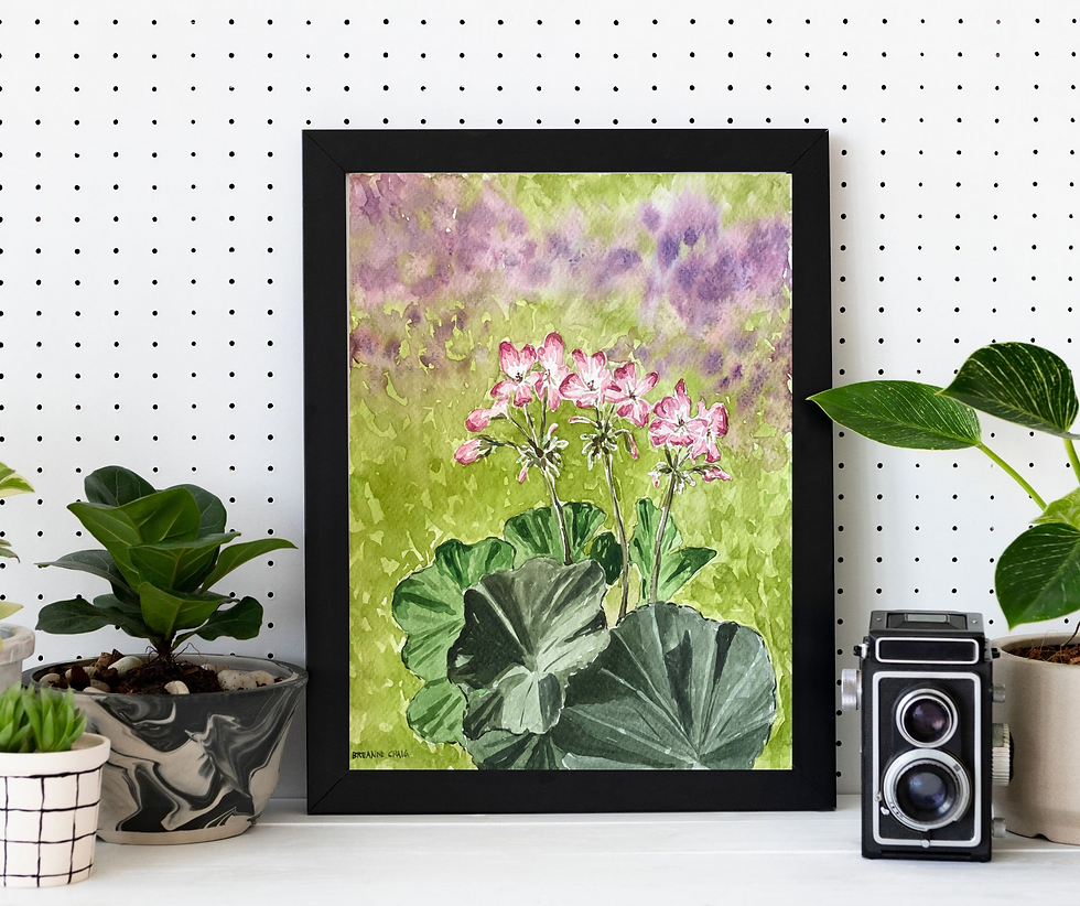 Geranium watercolor