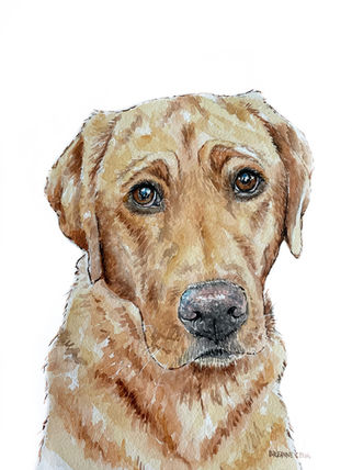 FullSizeRender - 2023-04-04T102734.692.jpg