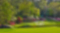 augusta-national-12 (1).webp