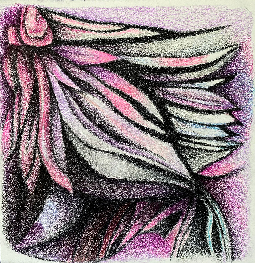 colored pencil drawing of flower that looks like feathers of an angel