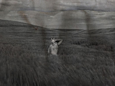 Barren Fields: A Visitation from Hans