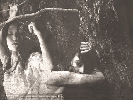 A Valkyrie’s Love Poem for the Trees