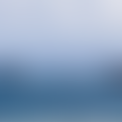 Whale-watching in New Caledonia in 2024
