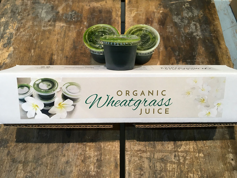 Shots wheat grass