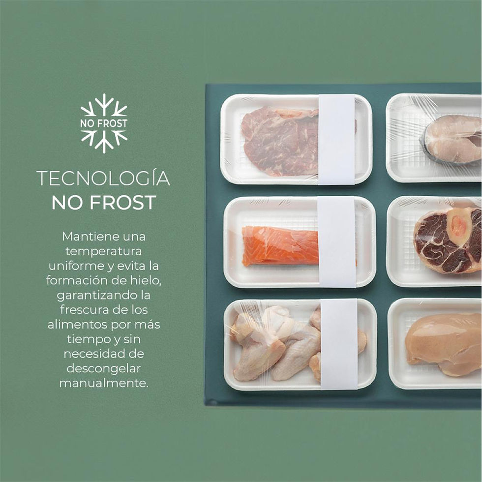Miniatura: FRIGORIFICO SVAN INOX. | 310L. | NO FROST