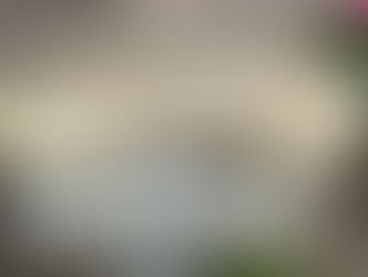 In Memory of Ruth Anderson