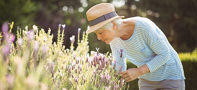 Older woman with blooming lavender.jpeg