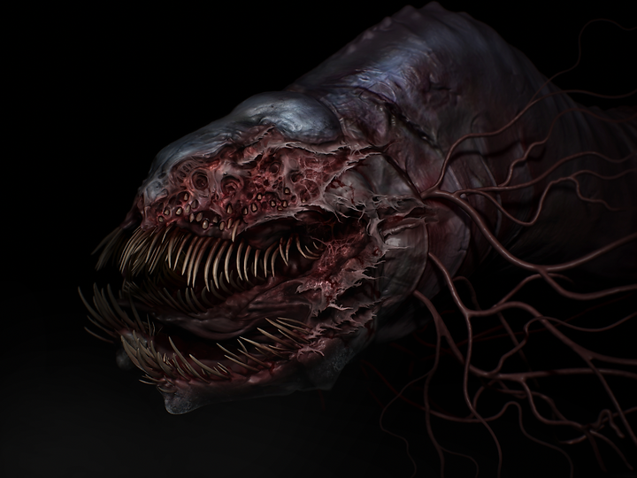 EEL INJURED CONCEPT.png