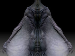 mermaid zbrush 3