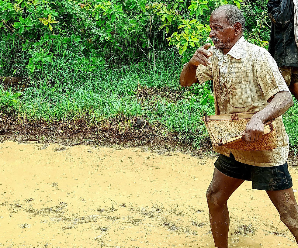 Thumbnail: Red Rice of Dhamapur-Kalse
