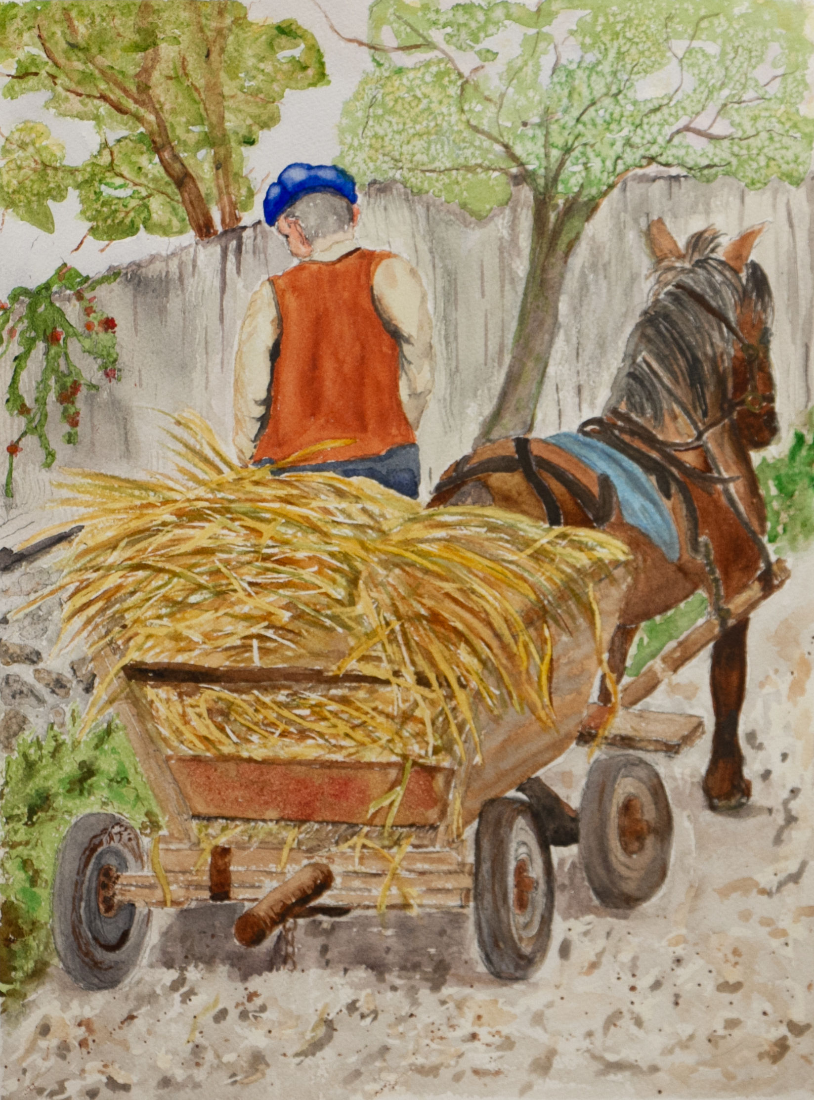 Hauling Hay in Romania