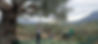 image0.jpeg