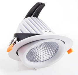 25-40W LED Downlight with Citizen LED and Lifud driver