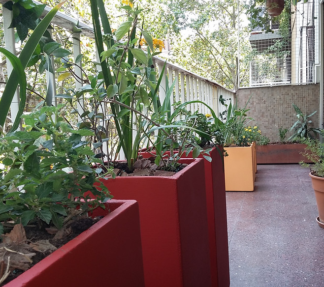 20160312_114357.jpg
