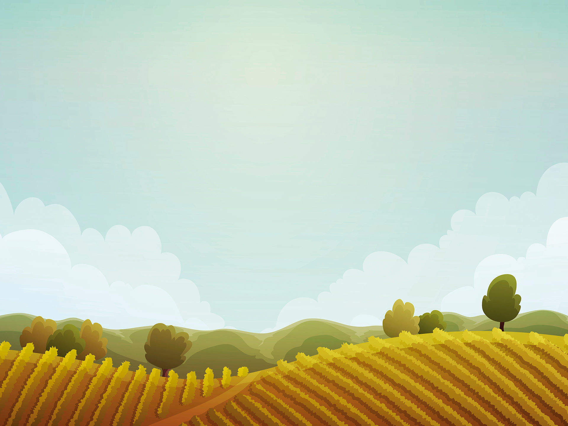 Cabecero Baby 1 Panels - 0012/24