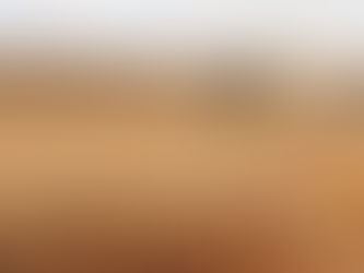 Полският производител на зърнени култури търси доставчици на зърно