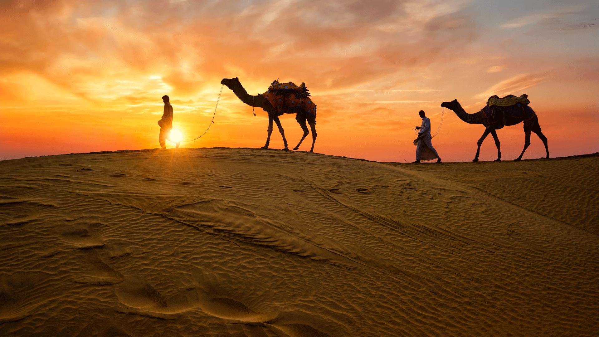 rajasthan-camels-desert-india.gif