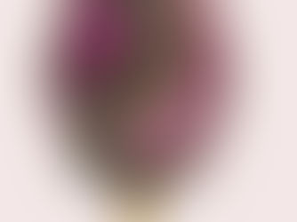 Congratulations Brigitte Noel le Hesran for obtaining the Master Artisan Pathway SILVER award.