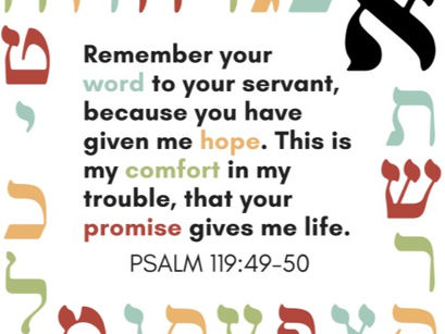My Hope Is In You Lord