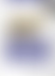 📚 "สถาปัตยกรรมข้อมูลสำหรับเว็บและที่ไกลกว่านั้น โดย Louis Rosenfeld, Peter Morville, Jorge Arango" 🌐