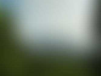 How Can IBM Design's Blueprint Guide Us Towards a Sustainable Future?