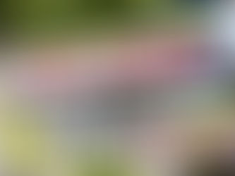 首都圏の平均マンション賃料、11ヵ月ぶりに下落