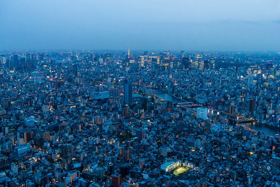 Tokyo skyline at dusk from Tokyo Skytree.