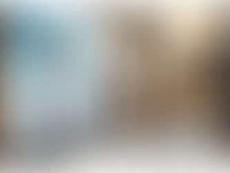 ウォルドーフ・アストリア・レジデンス東京日本橋の完成予想CG