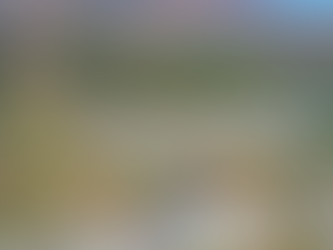 Patience Capital Group Myoko resort project aims to break ground by summer 2026