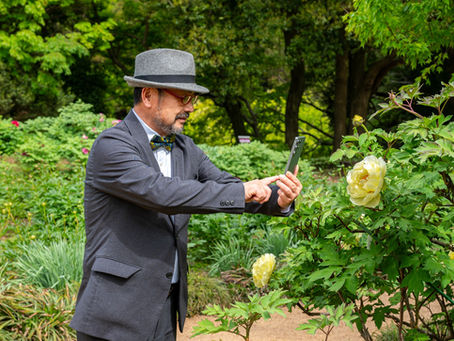 From flower displays to a living landscape at Tsukuba Peony Garden