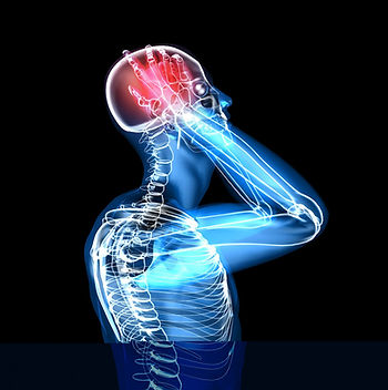 hastings chiropractor