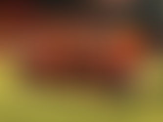 Alajuelense regresa a los entrenamientos de cara al inicio del torneo Clausura 2026.