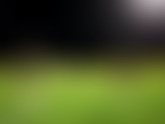 La Selección Nacional de Costa Rica hace reconocimiento de la gramilla del Estadio Ergillio en Curazao.