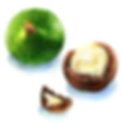 AdobeStock_78040373.jpeg