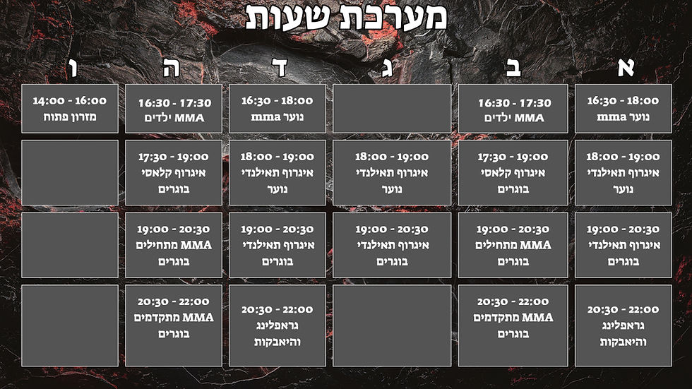 מערכת שעות.jpg