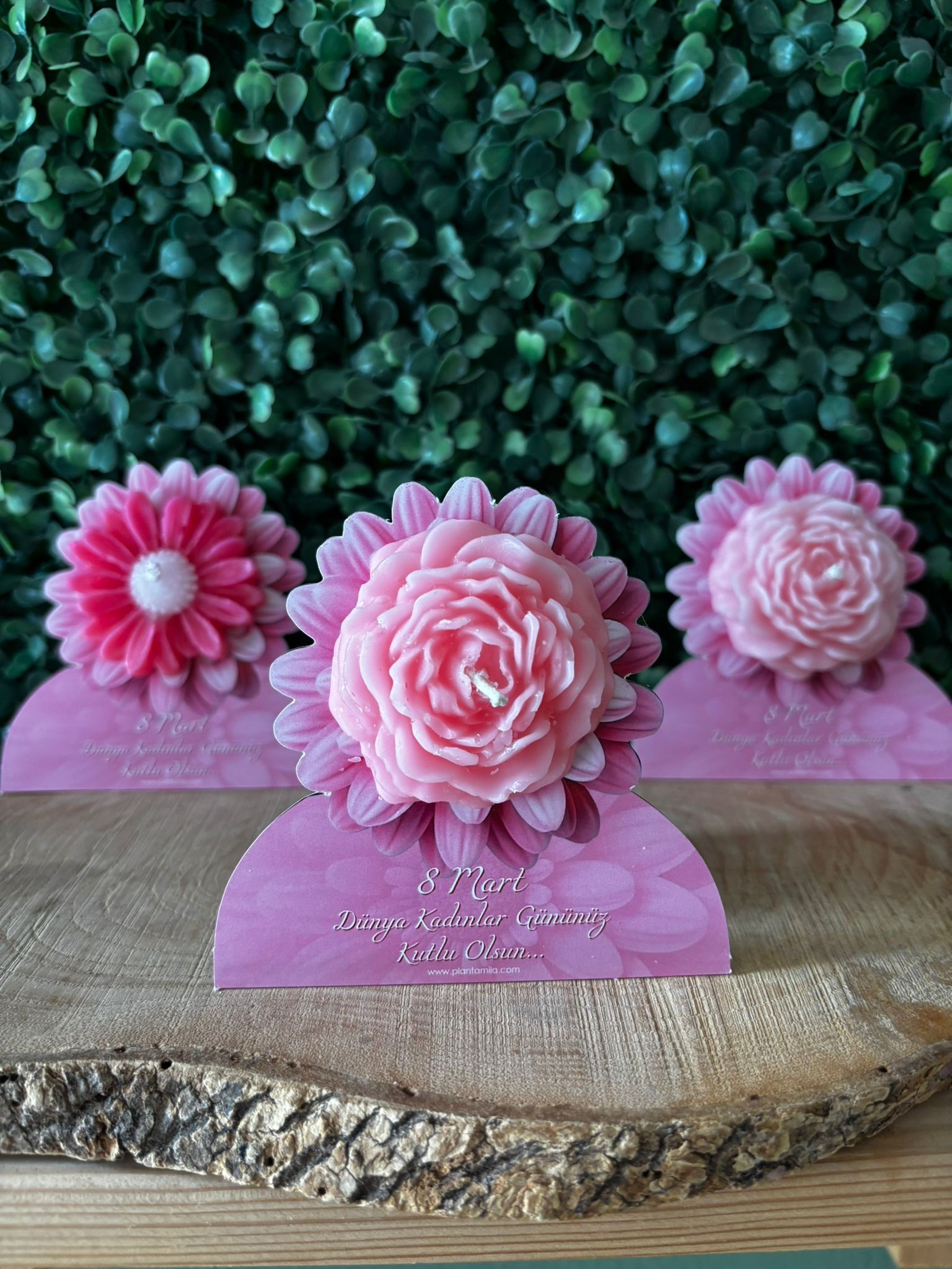 Mum "Özel Kesim Kartlı"