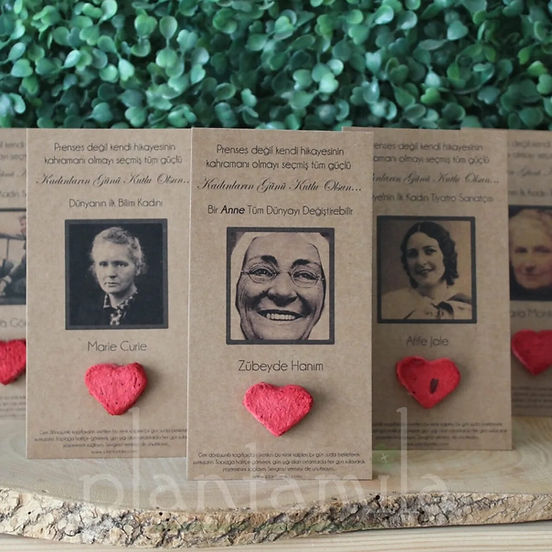 WhatsApp Image 2024-02-12 at 15.08.07.jpeg