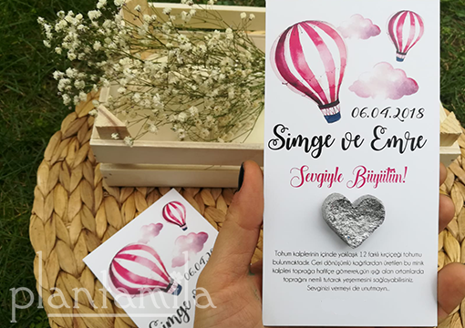 Küçük resim: yeşeren tohum kalp