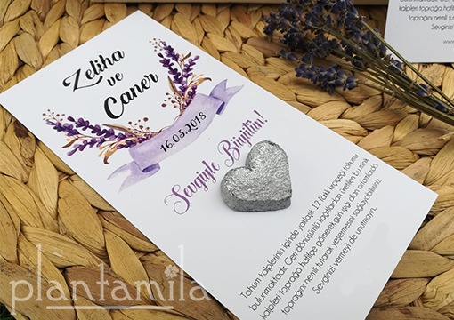 Küçük resim: yeşeren tohum kalp