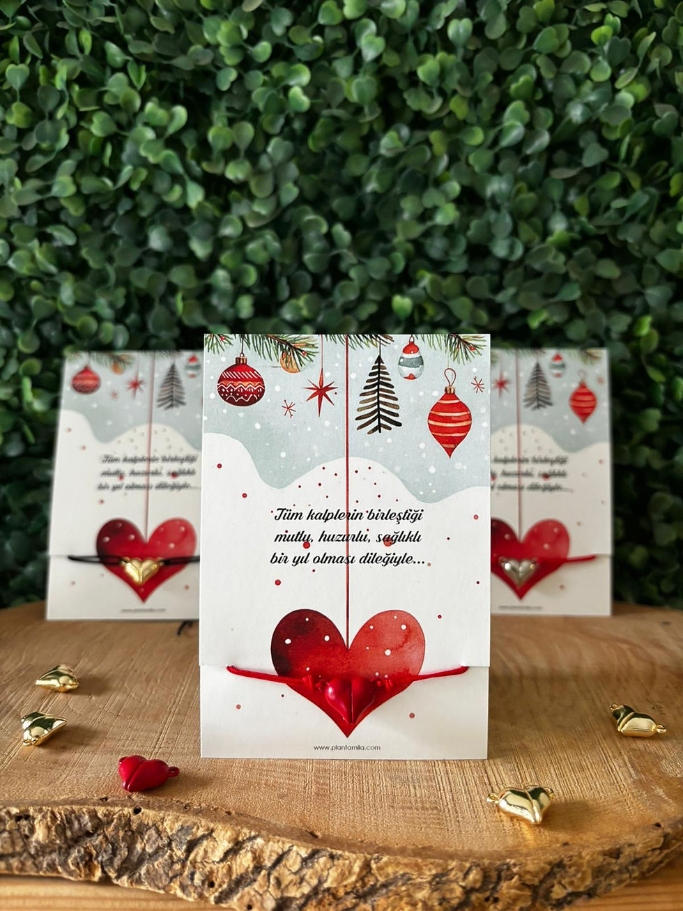 Küçük resim: Şans Bilekliği Yeni Yıl (Mıknatıslı)