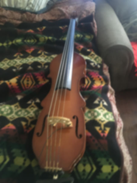 5 string upright bass w/pickup