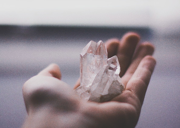 kira-auf-der-heide-328511-unsplash_edite