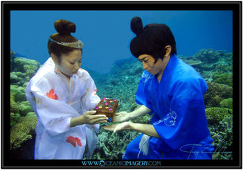 WallyPhotos Copyright Troy Mayne (556).jpg