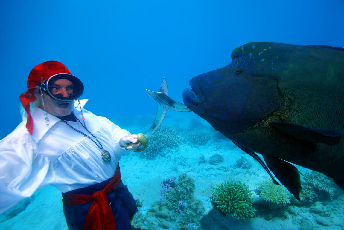 Children’s picture books by Troy Mayne from Oceanic Imagery featuring Wally the Wrasse and Green turtles with real underwater photos from the Great Barrier Reef, including Sorry Wally and Kind Wally.
