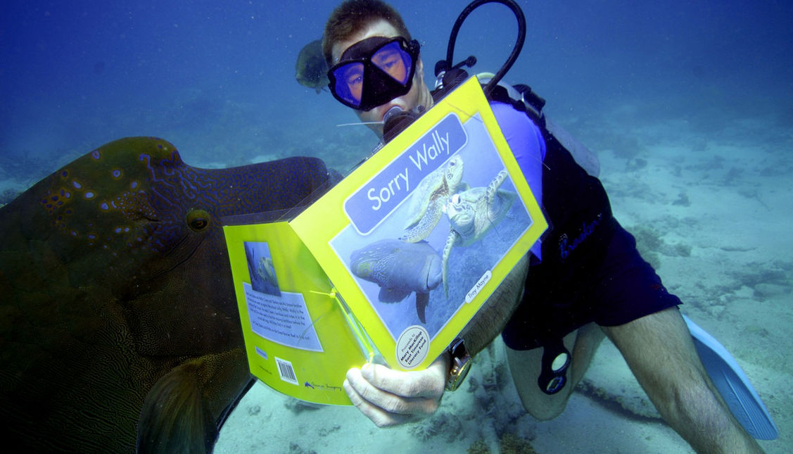 Award winning underwater wide-angle photo of Scuba diver with Wally the Napoleon Maori Wrasse and Green Turtles on the Great Barrier Reef with Troy Mayne from Oceanic Imagery.